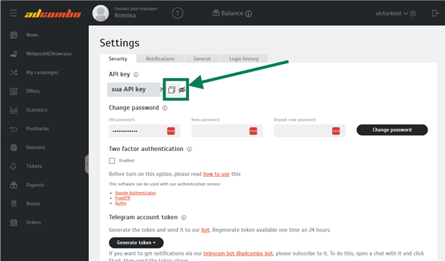 API key field revealed, with the copy button highlighted