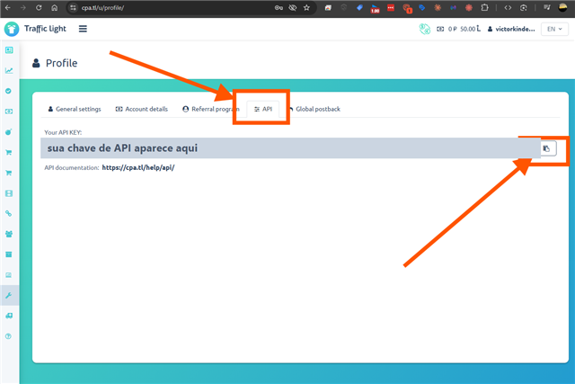 Profile API tab, with the key and the copy button highlighted