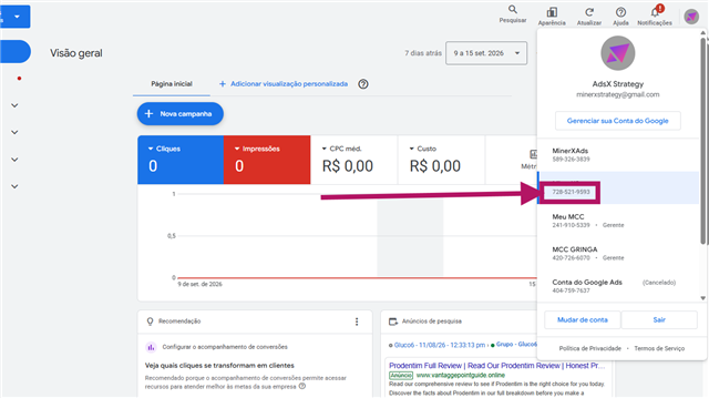 ID da conta na lista de contas do Google Ads
